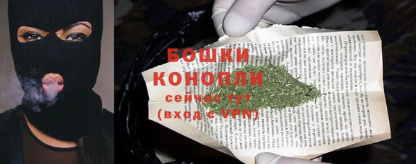 шишки Нея