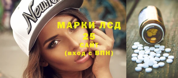 шишки Нея