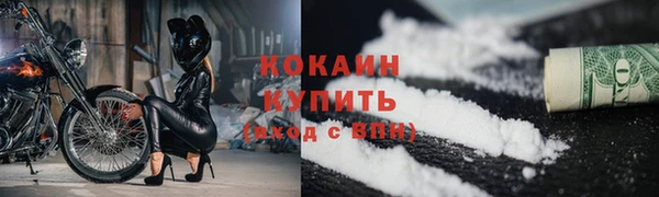 шишки Нея