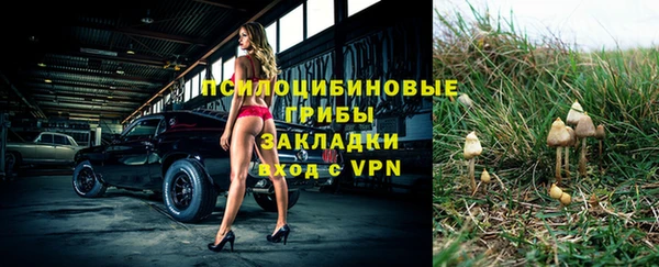 шишки Нея