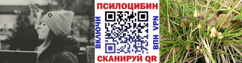 Купить где  Бородино  Галлюциногенные грибы Magic Shrooms 