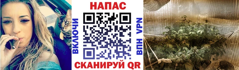 Купить закладки  Бородино  Шишки марихуана MAZAR 